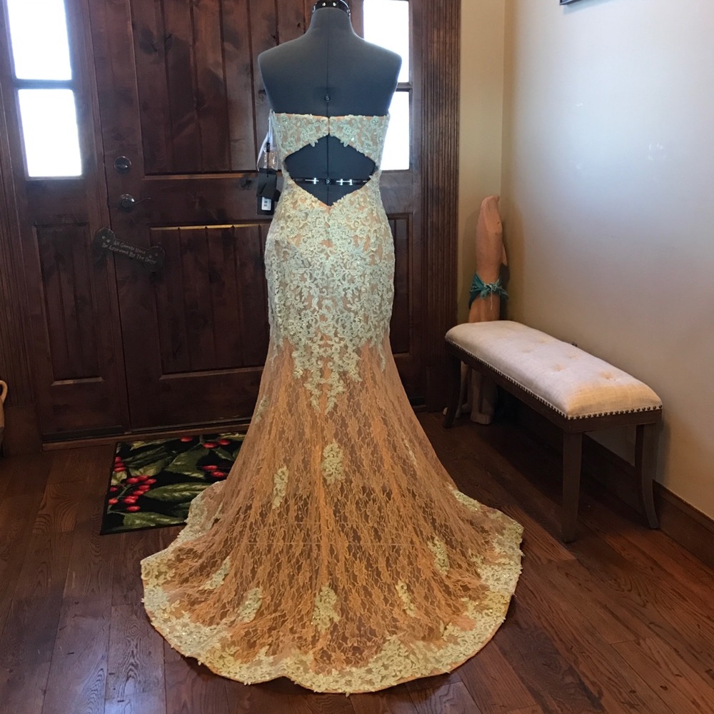 TERANI Lace Illusion Dress NWT - Picture 4 of 7